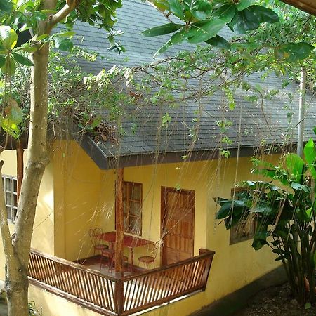 Sun Garden Hilltop Resort Manoc-Manoc المظهر الخارجي الصورة